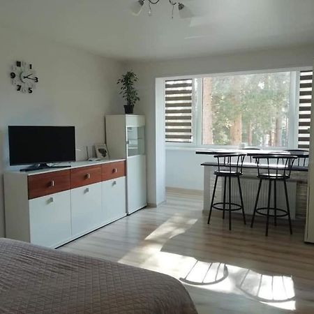 Light One Room Apartment Visaginas Eksteriør bilde