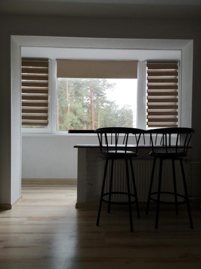 Light One Room Apartment Visaginas Eksteriør bilde